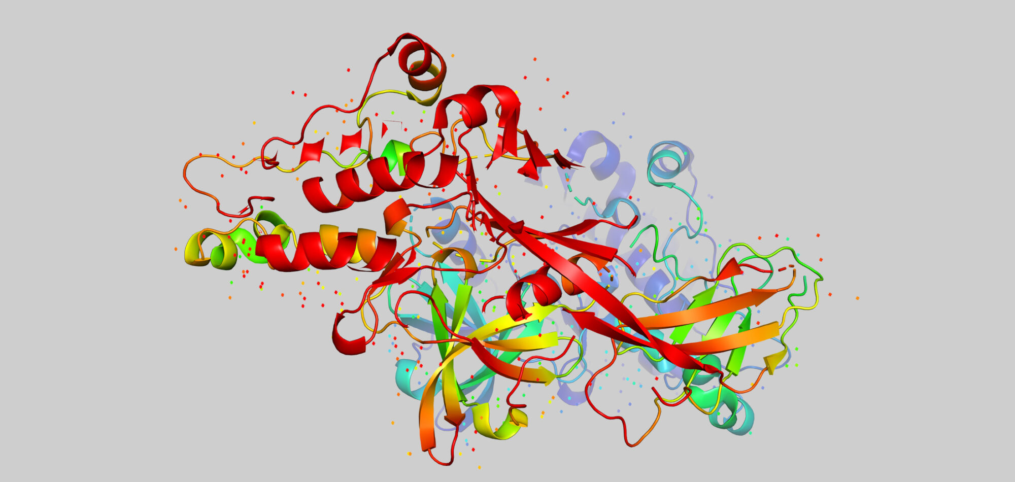 Abbildung eines 3D-Modells eines Proteinmoleküls. Die Molekülstränge sind bunt und sehr verschieden.